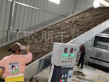 迷迭香专用带式烘干机