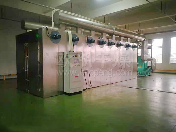 常州欧朋干燥：高效节能型蔬菜水果脱水带式干燥机成功组装并投入运行！